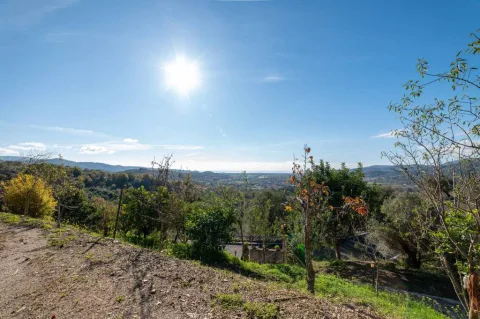 Vista